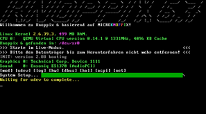 [knoppix booting]