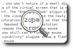 [picture showing the compiz screen magnifier]