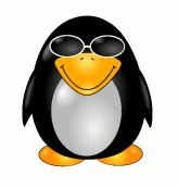 [penguin with sunglasses]